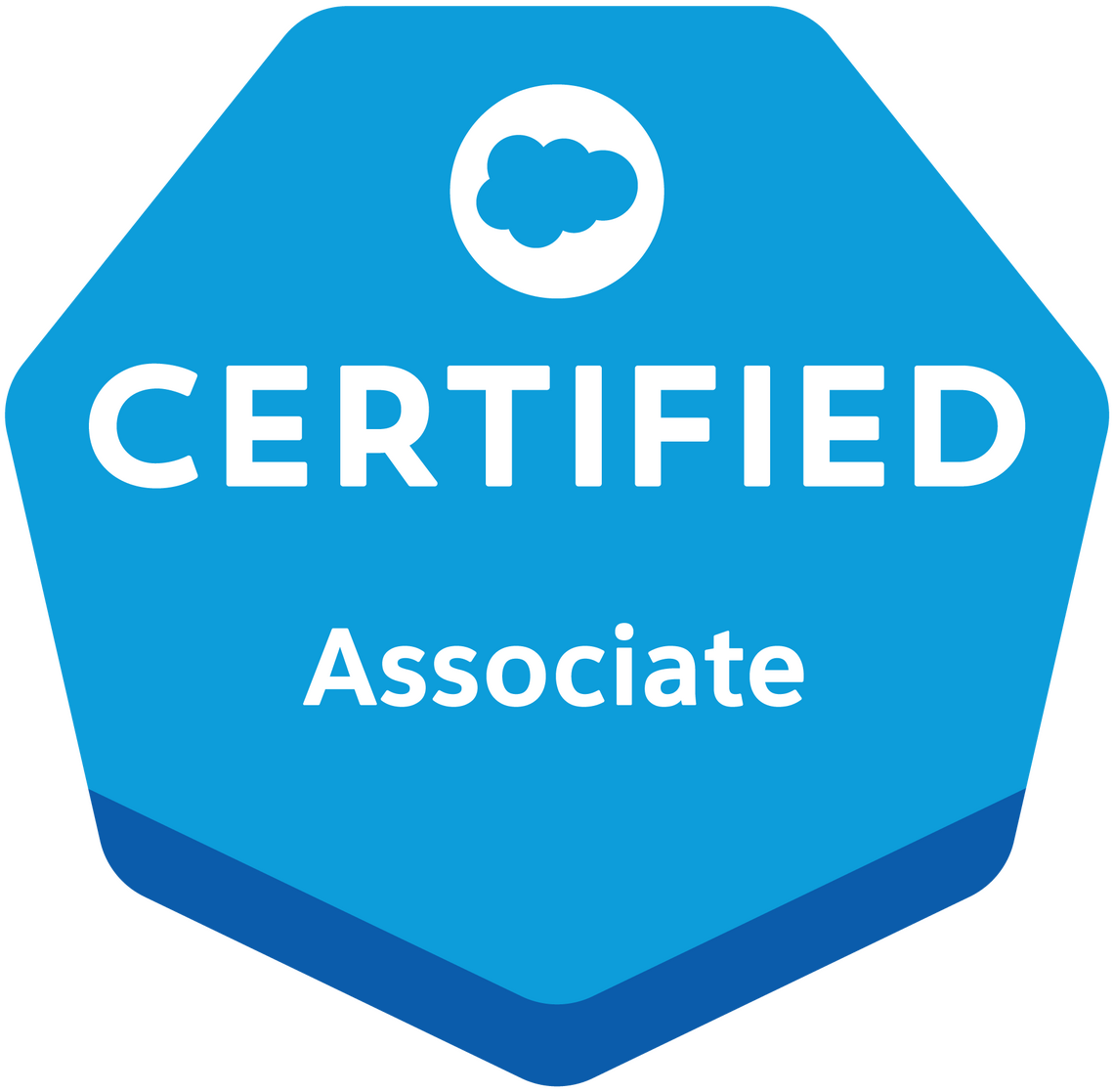Salesforce Certified Associate Salesforce Certified Associate